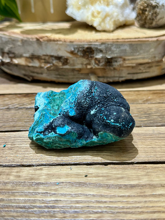 Malacholla // Mineral Specimen // Rough