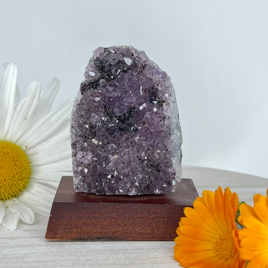 Amethyst // Cluster // Wood Base