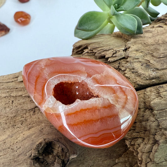 Carnelian // Druzy // Eggs