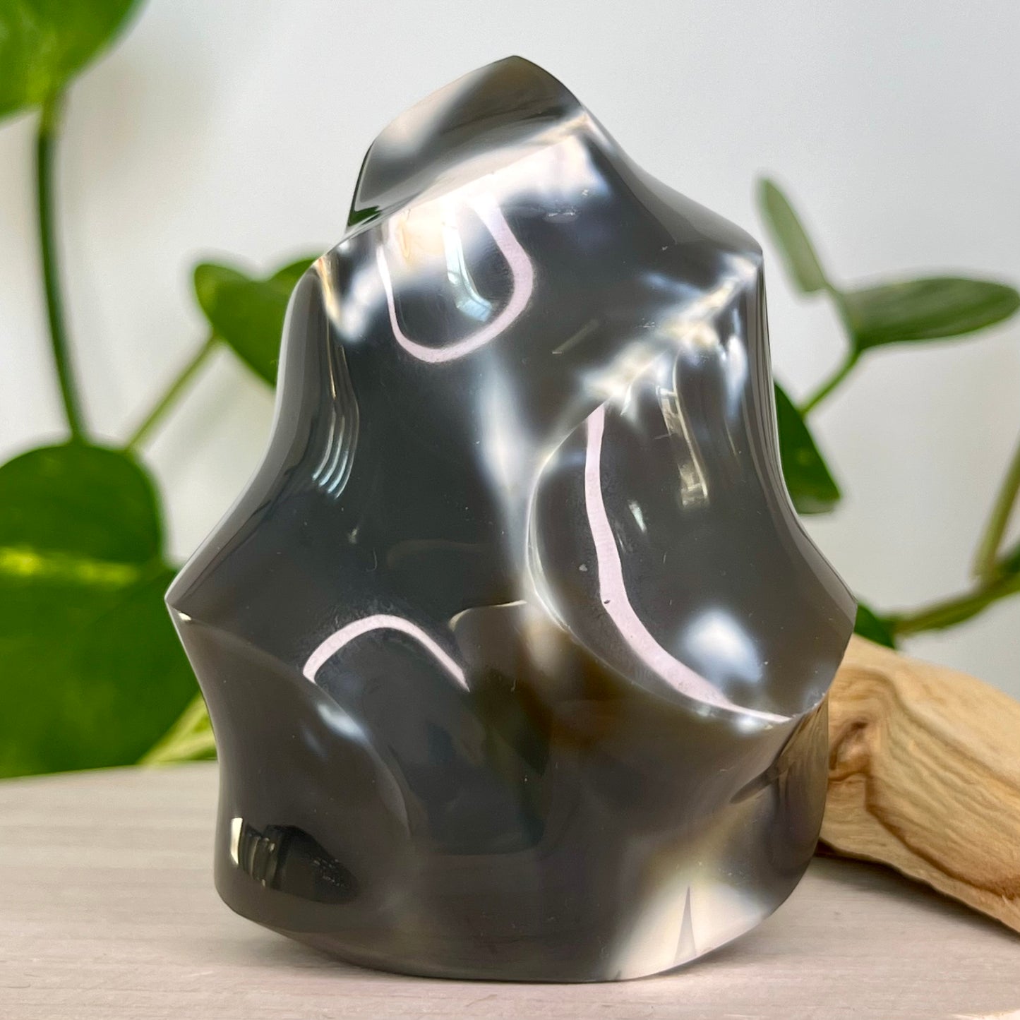 Agate // Blue // Orca // Free Form