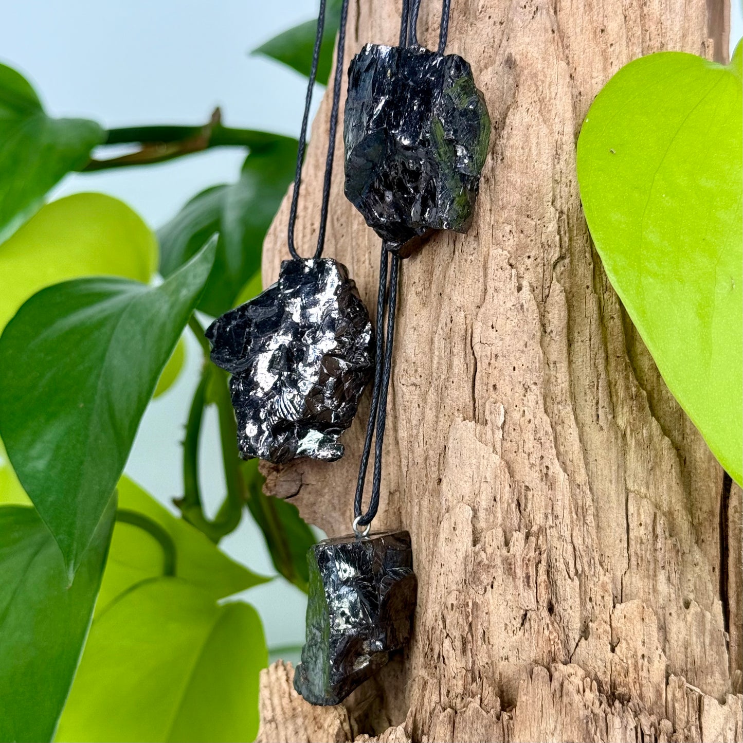 Shungite // Elite Noble // Pendant