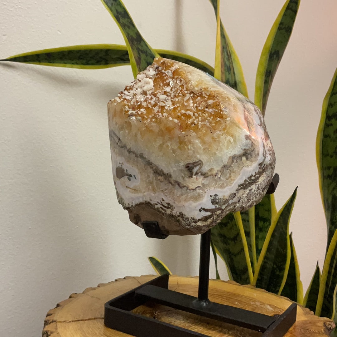 Citrine // Cluster // Metal Stand with Base