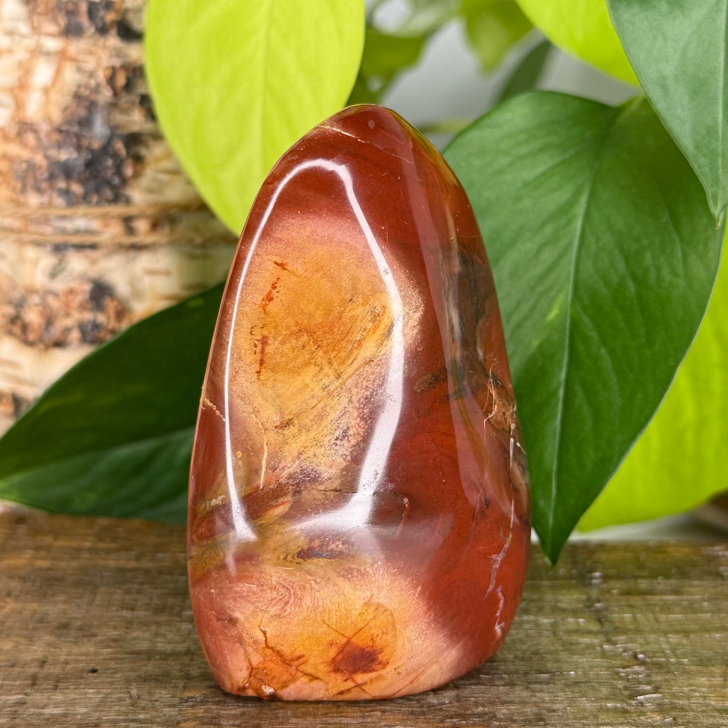 Petrified Wood // Free Form