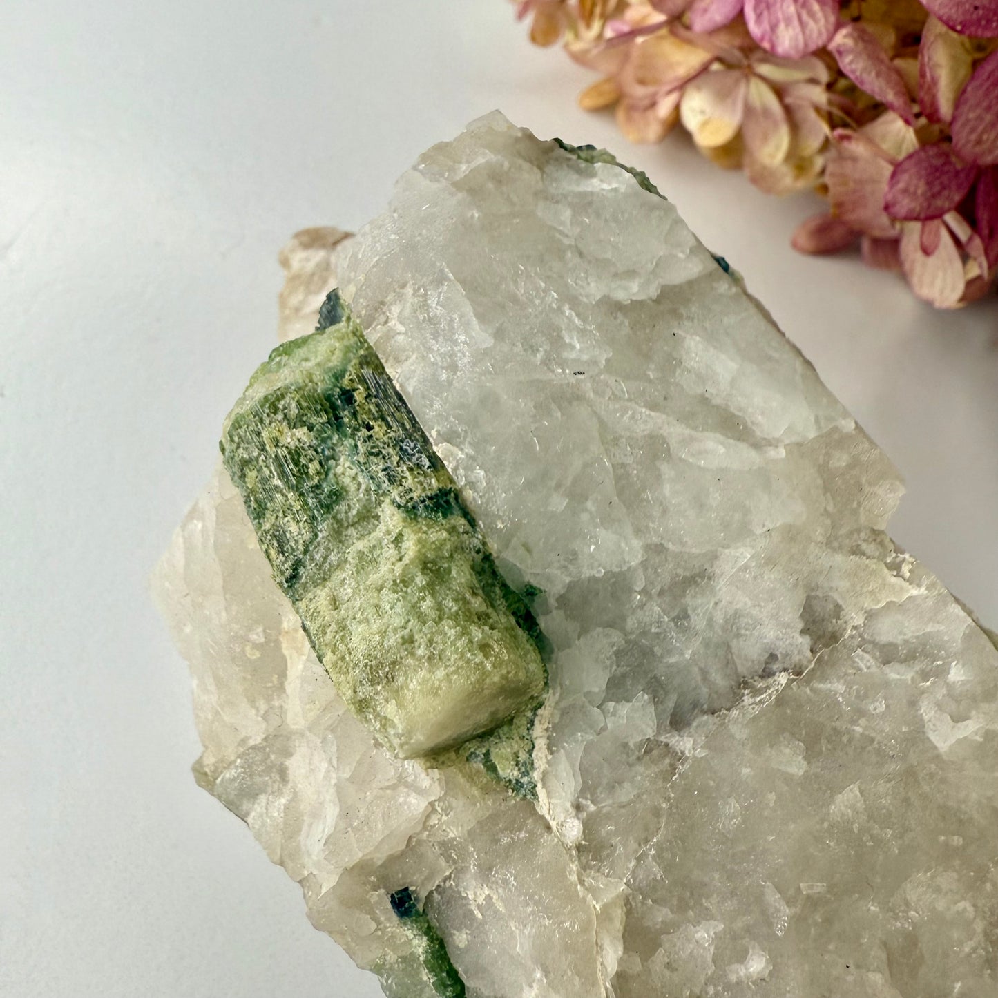 Tourmaline // Green // In Quartz // Natural