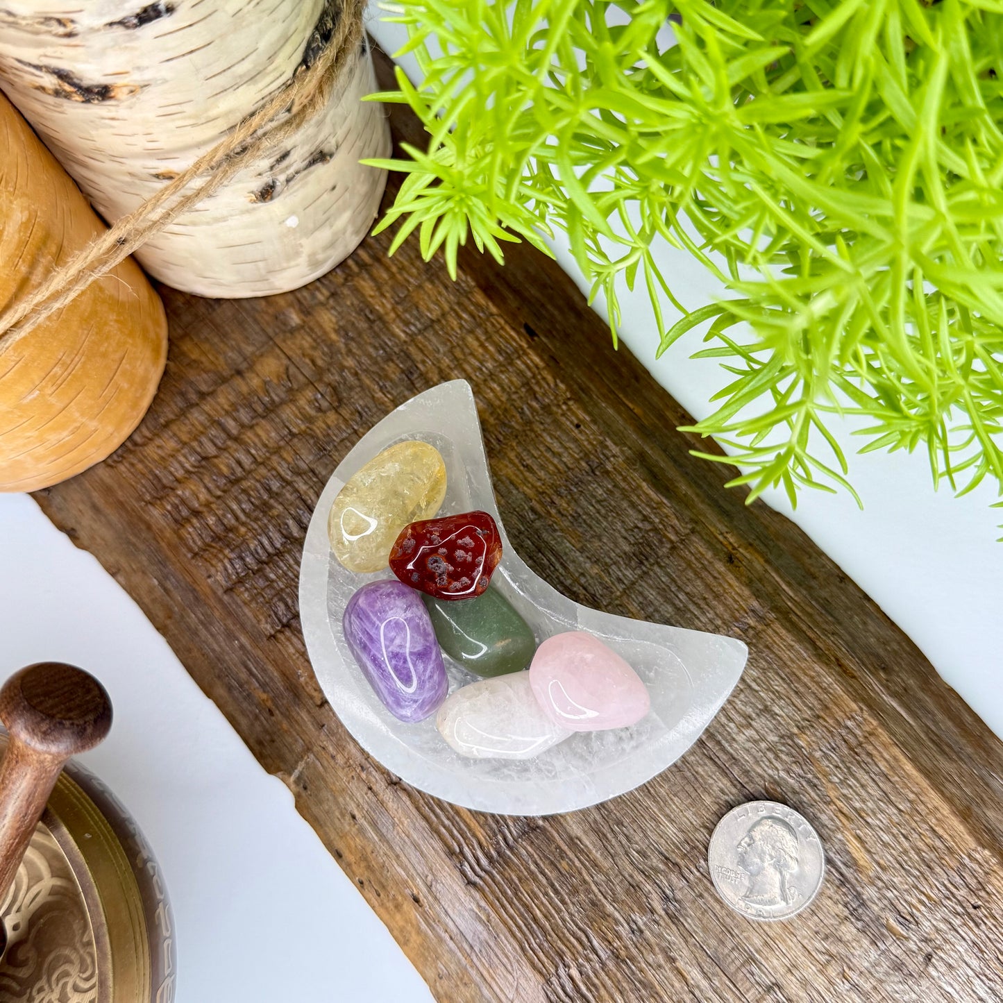 Selenite // Moon Dish // Accessory - SolRising The Rock Shop