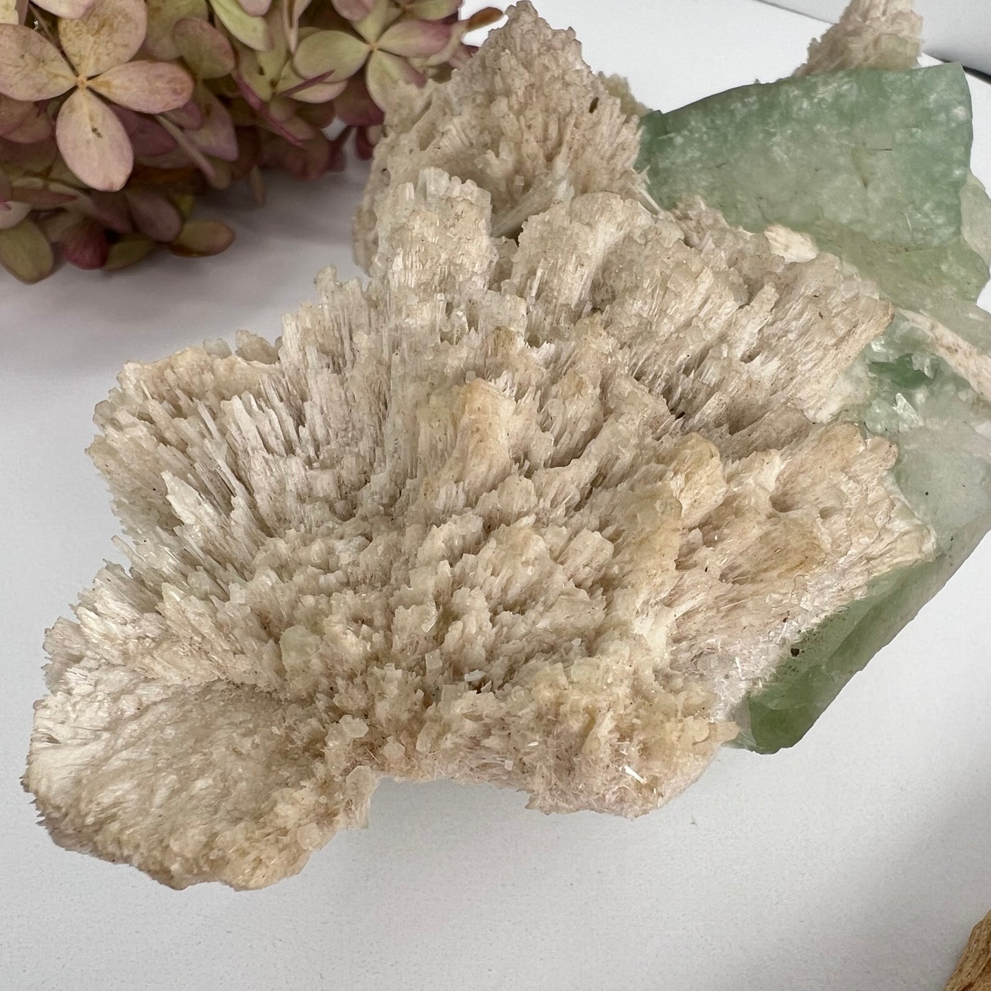 Zeolite // Apophyllite // Green // Natural Mineral