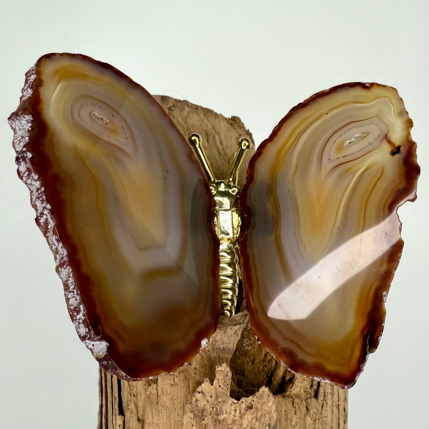 Agate // Butterfly