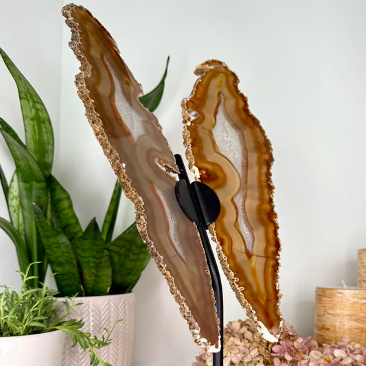 Agate // Butterfly