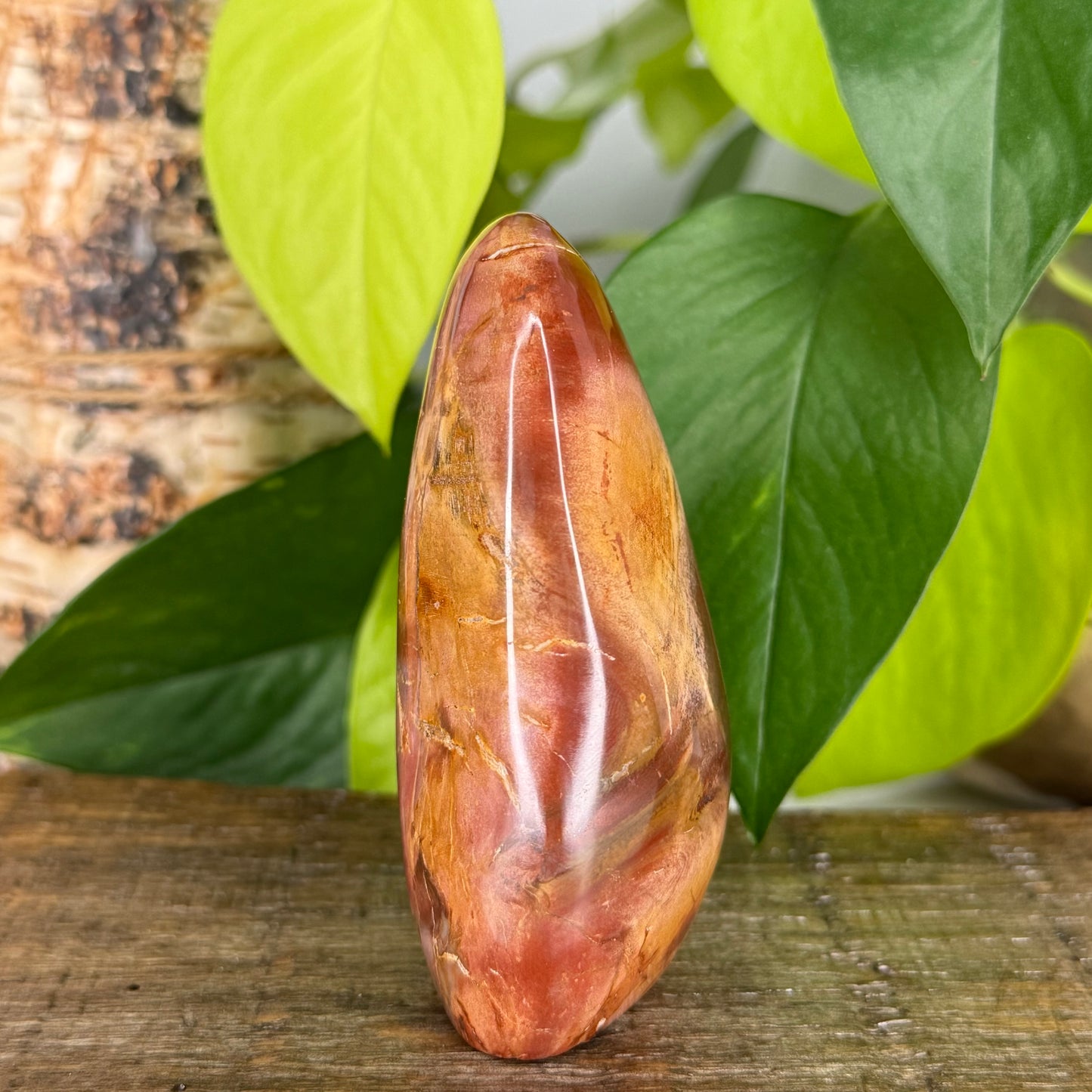 Petrified Wood // Free Form