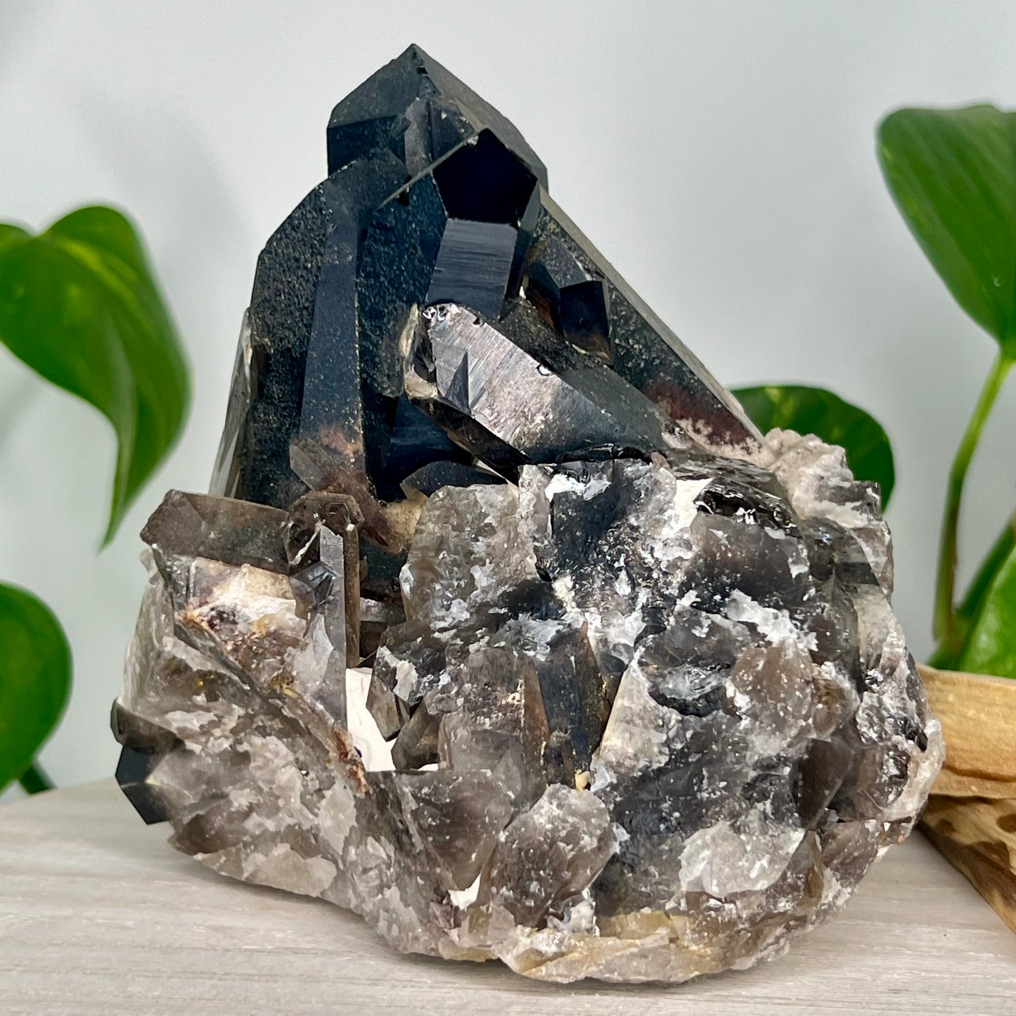 Smokey Quartz // Cluster