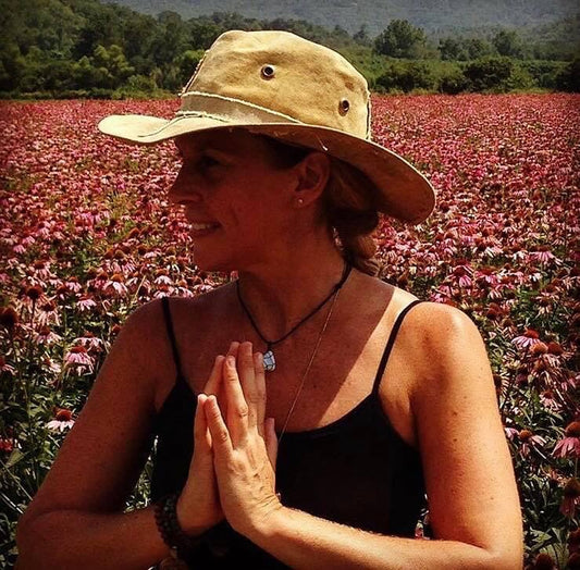 Introduction to Ayurvedic Medicine + Nutrition
