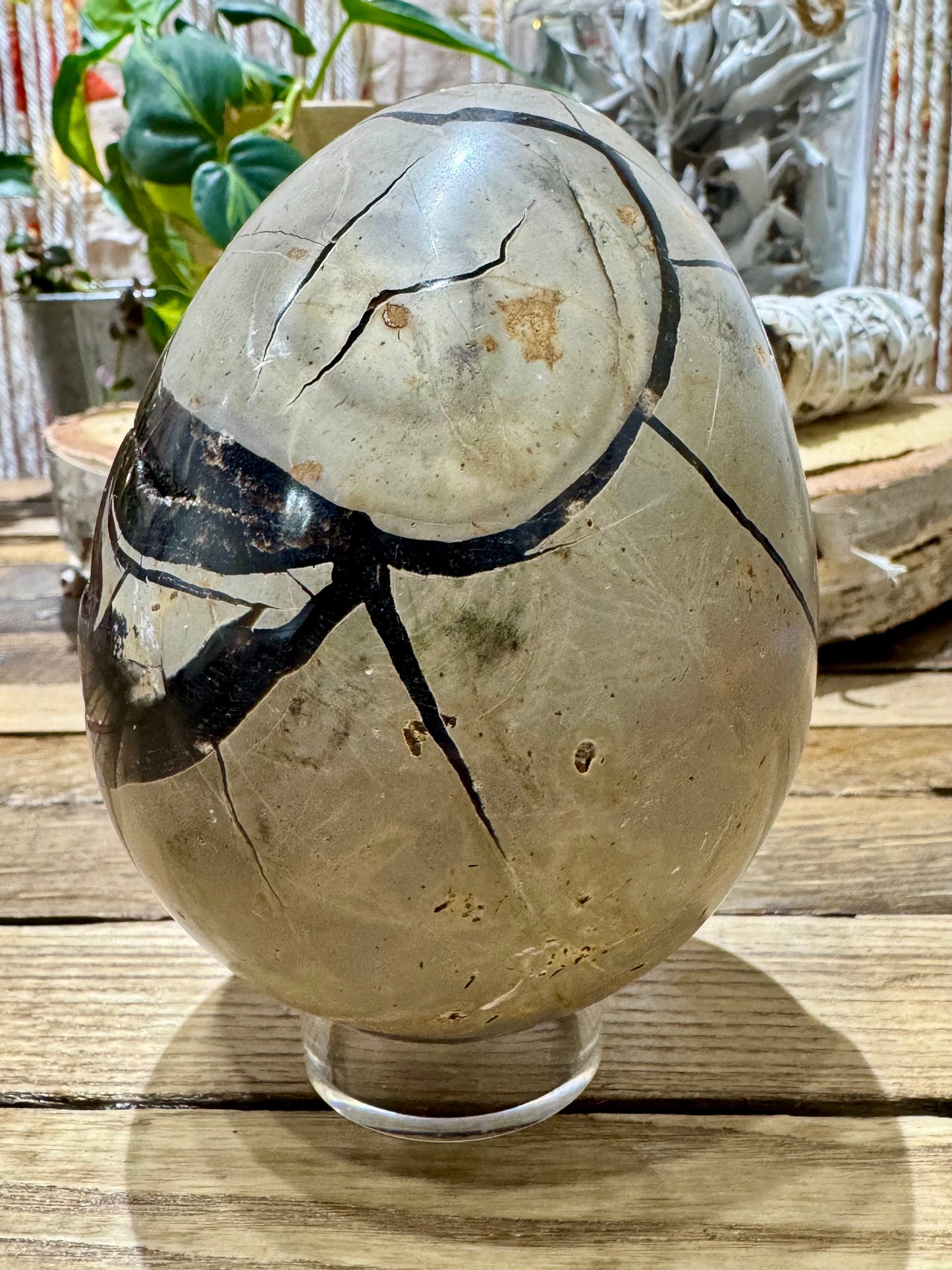 Septarian // Dragon // Egg