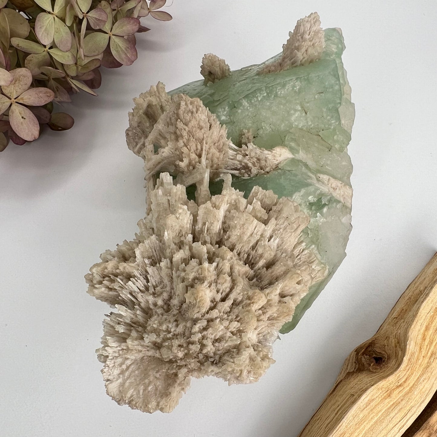 Zeolite // Apophyllite // Green // Natural Mineral
