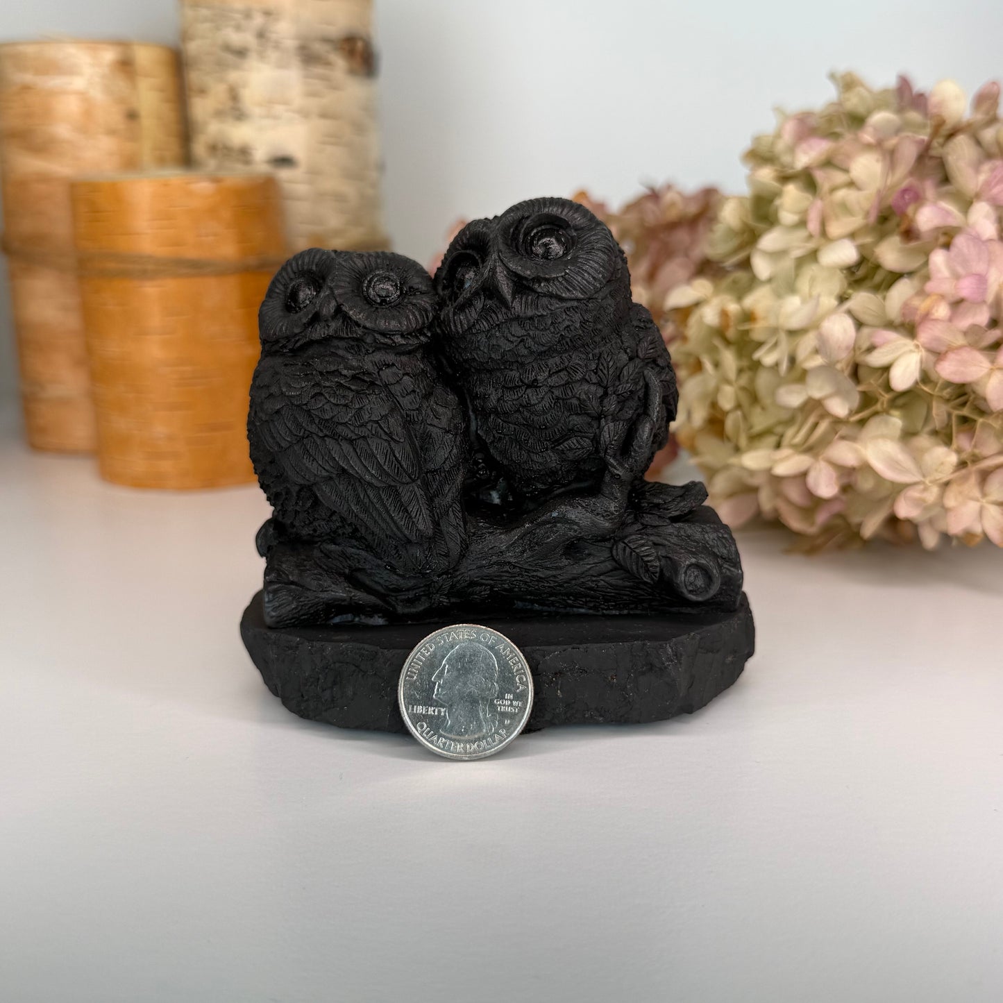 Shungite // Owl Pair