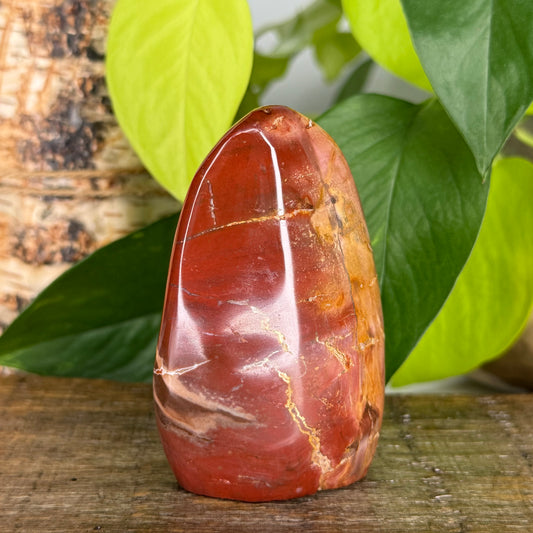 Petrified Wood // Free Form