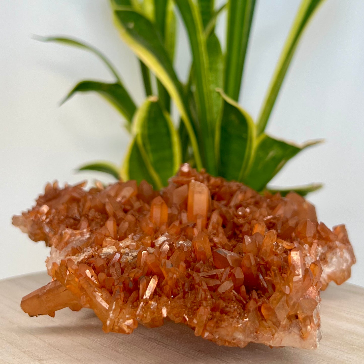 Quartz // Tangerine // Cluster