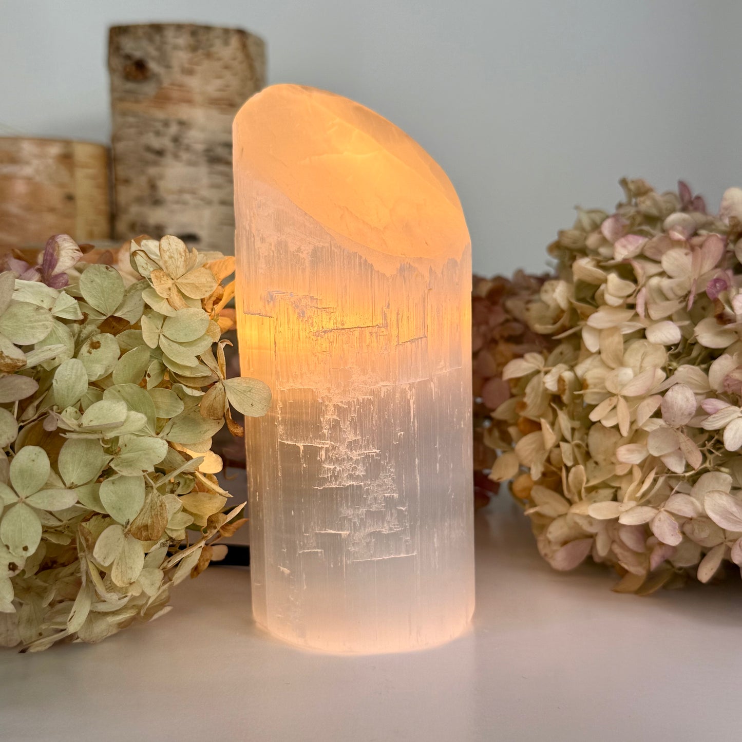 Selenite // Cylinder // Lamp