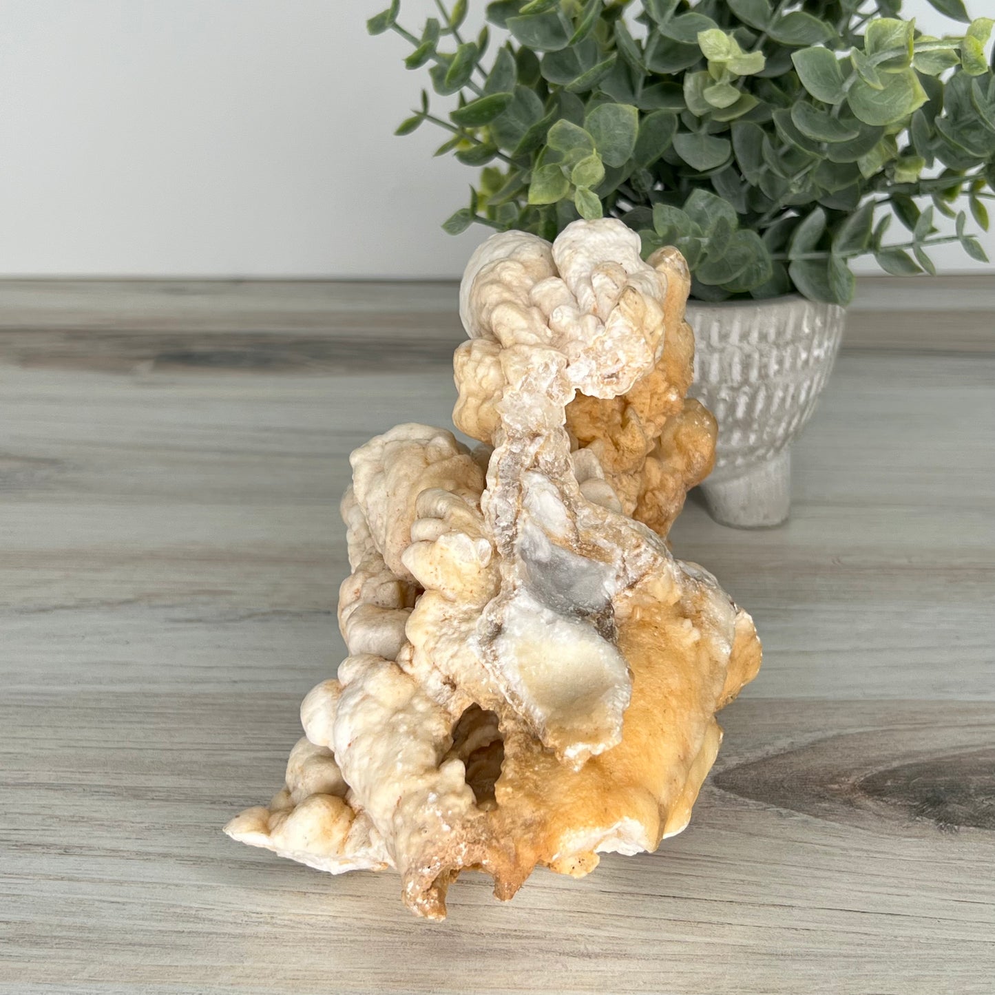 Aragonite // White // Cluster