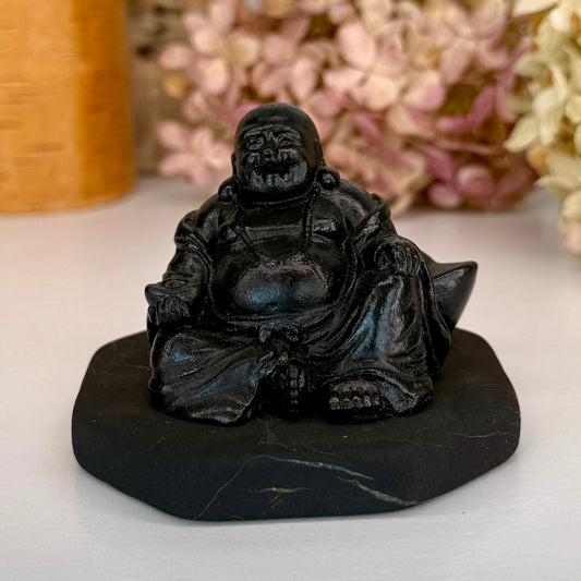Shungite // Hotei