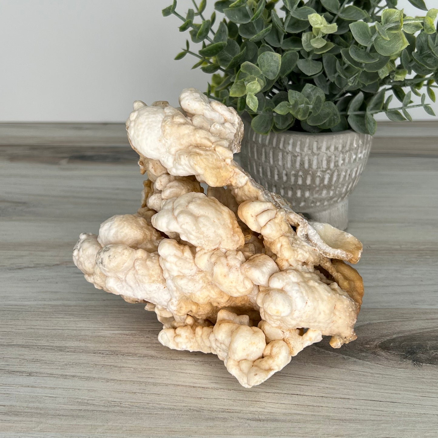 Aragonite // White // Cluster