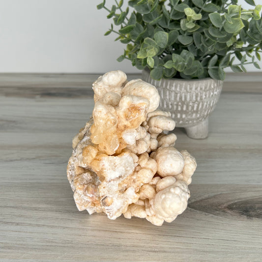 Aragonite // White // Cluster