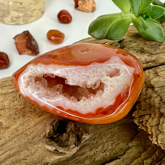 Carnelian // Druzy // Eggs
