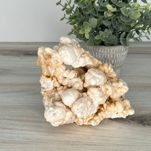 Aragonite // White // Cluster