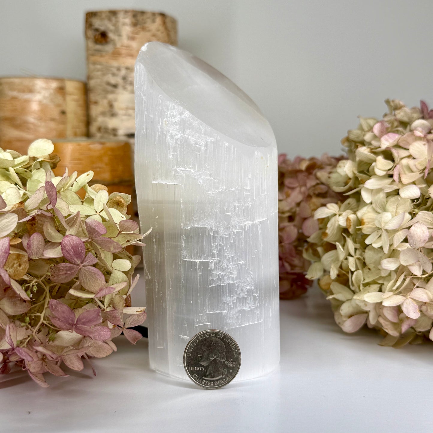 Selenite // Cylinder // Lamp