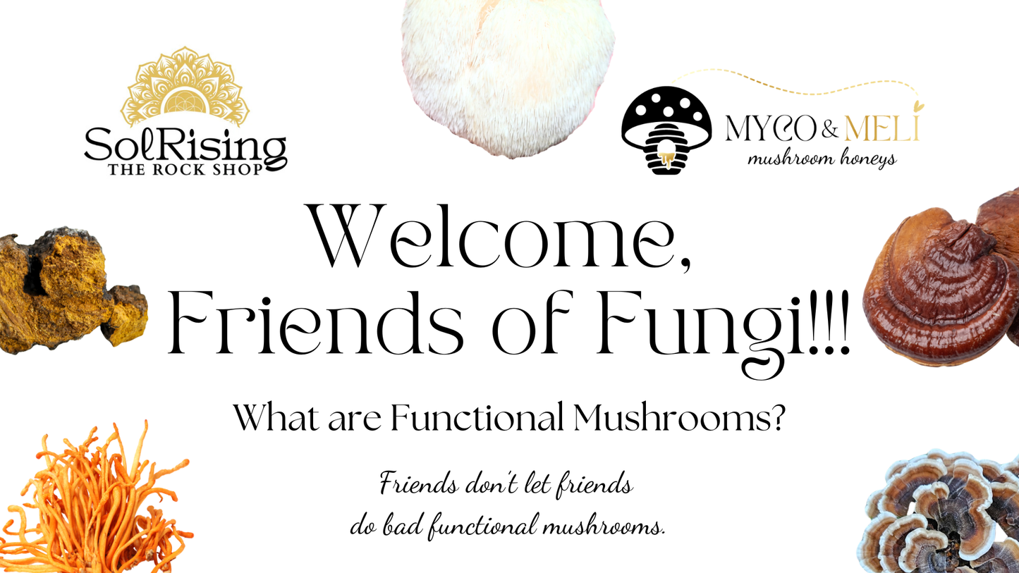 Friends of Fungi: What are Functional Mushrooms? - SolRising The Rock Shop
