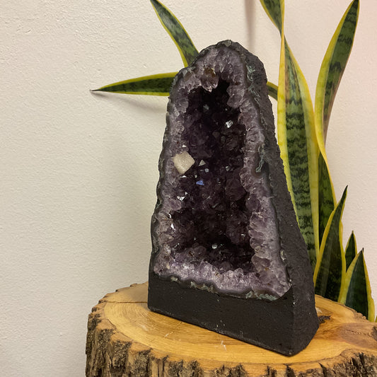 Amethyst // Cathedral // Large