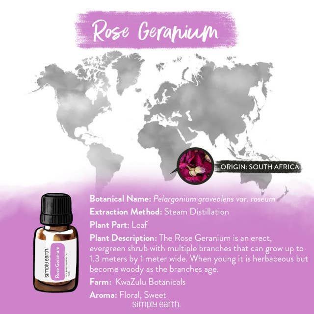 Rose Geranium // Essential Oil
