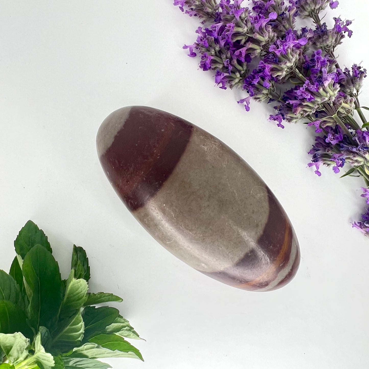 Shiva Lingam // Natural Mineral // Shape