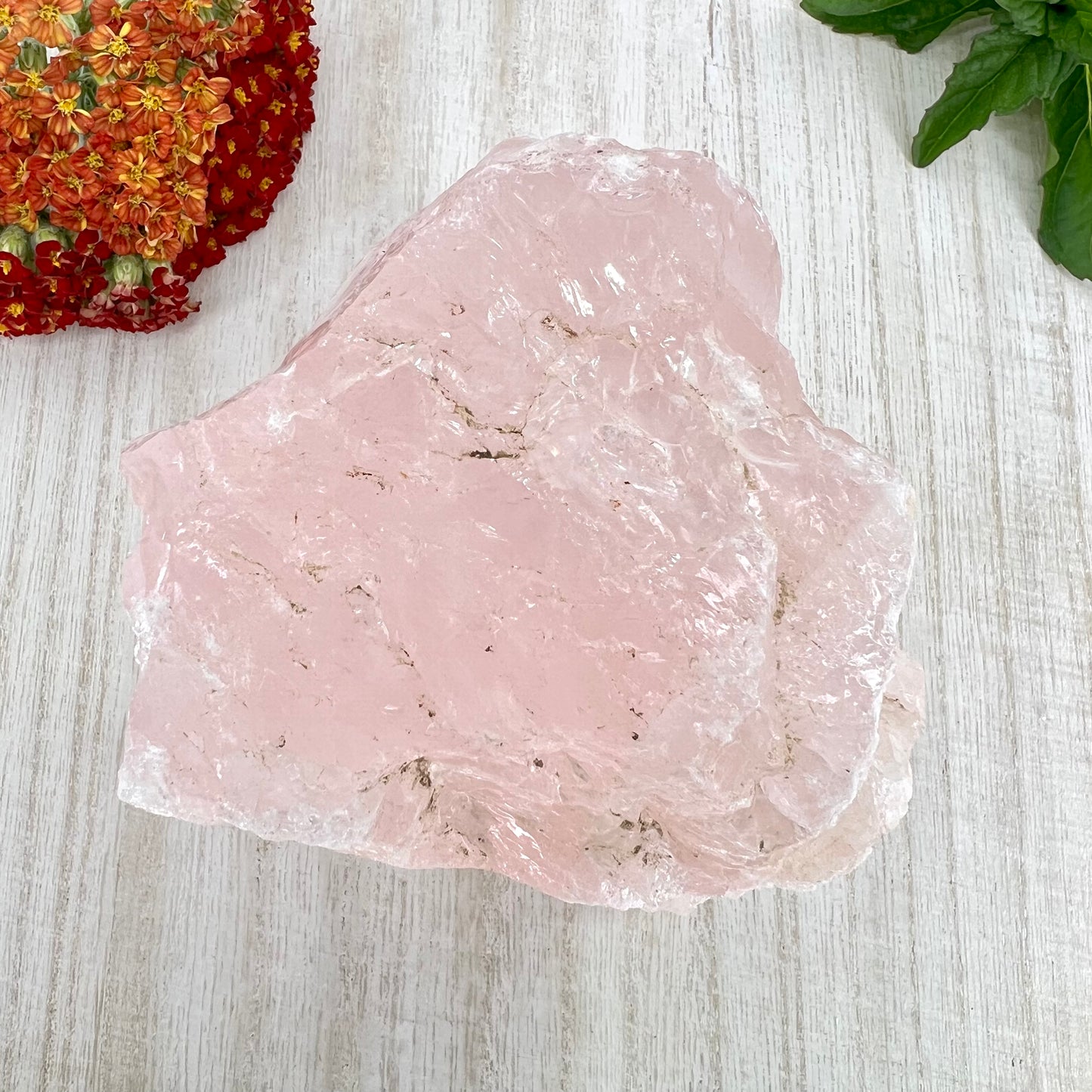 Rose Quartz // Rough // Natural // Mineral