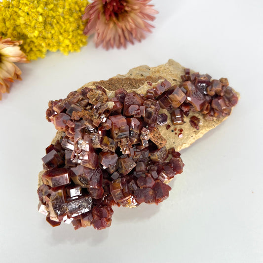 Vanadanite - Mineral Specimen // Rough - SolRising The Rock Shop