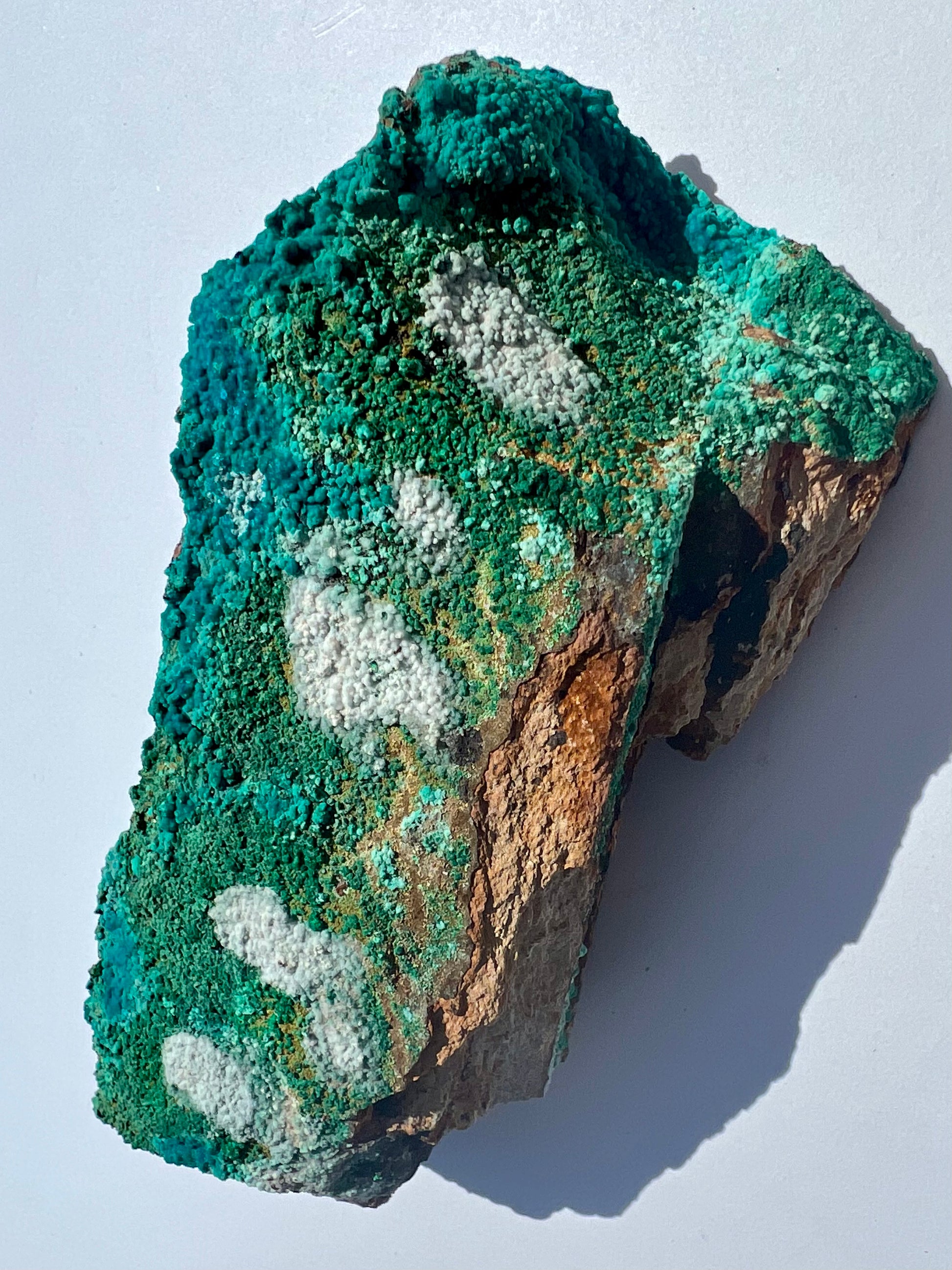 Malacholla // Mineral Specimen // Rough - SolRising The Rock Shop