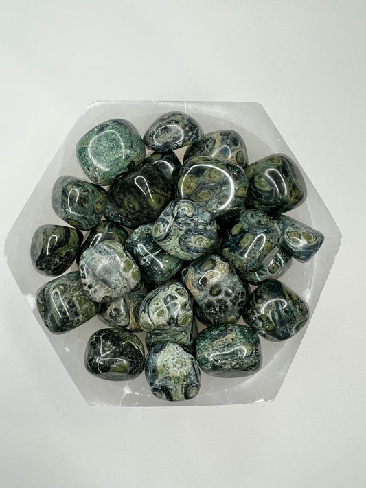 Kambaba Stone // Tumbled - SolRising The Rock Shop
