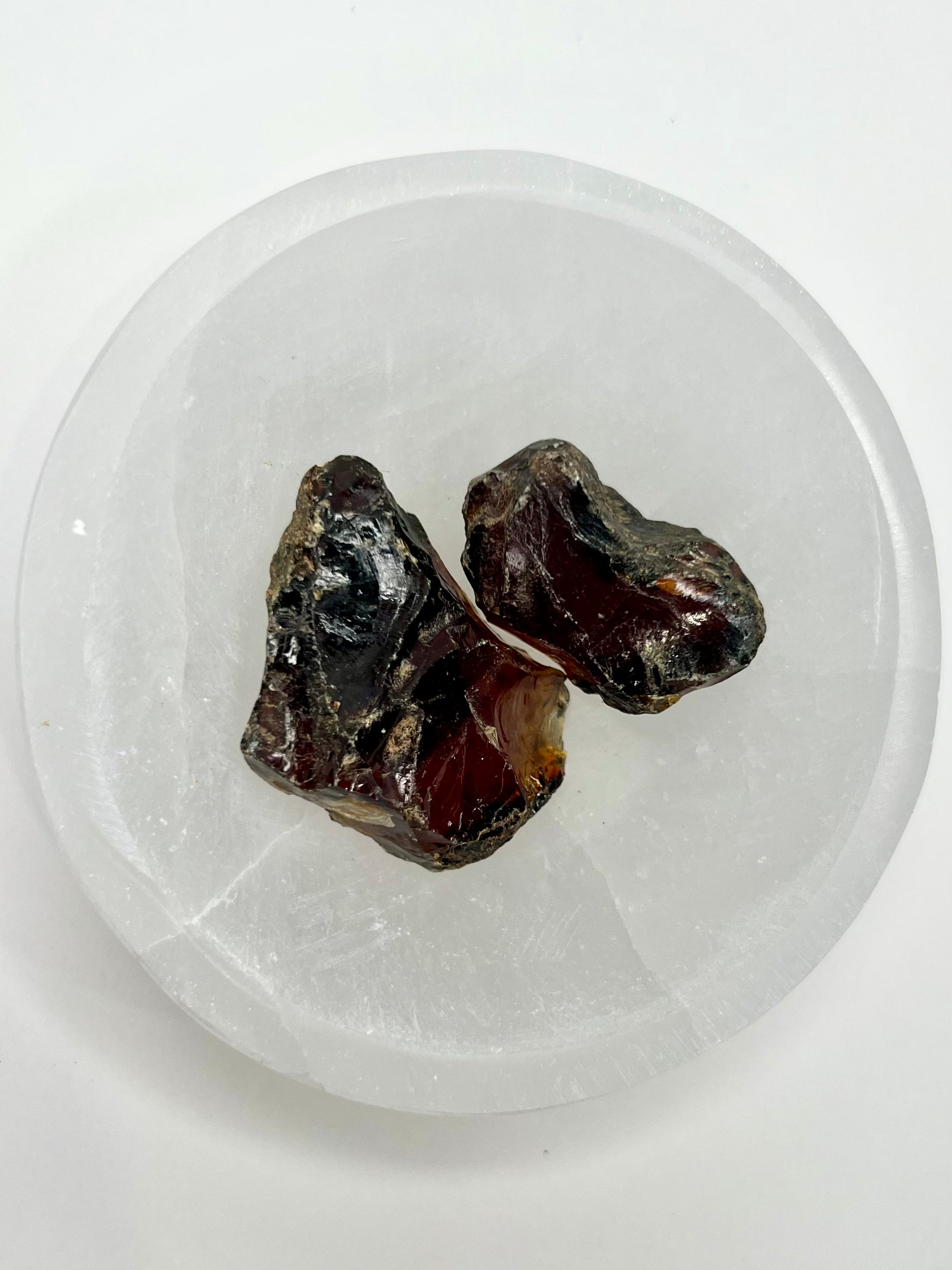 Amber // Cherry // Fossilized // Tree Resin - SolRising The Rock Shop