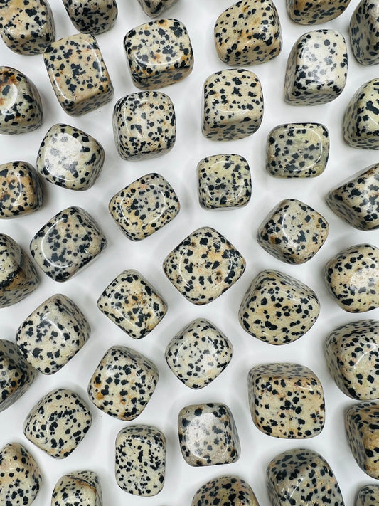 Dalmatian - Tumbled - SolRising The Rock Shop
