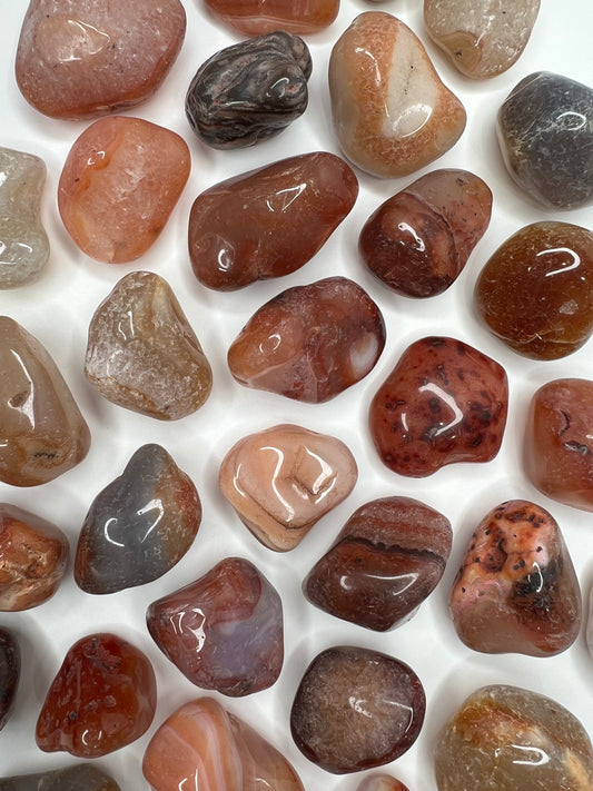 Carnelian // Large // Tumbled - SolRising The Rock Shop