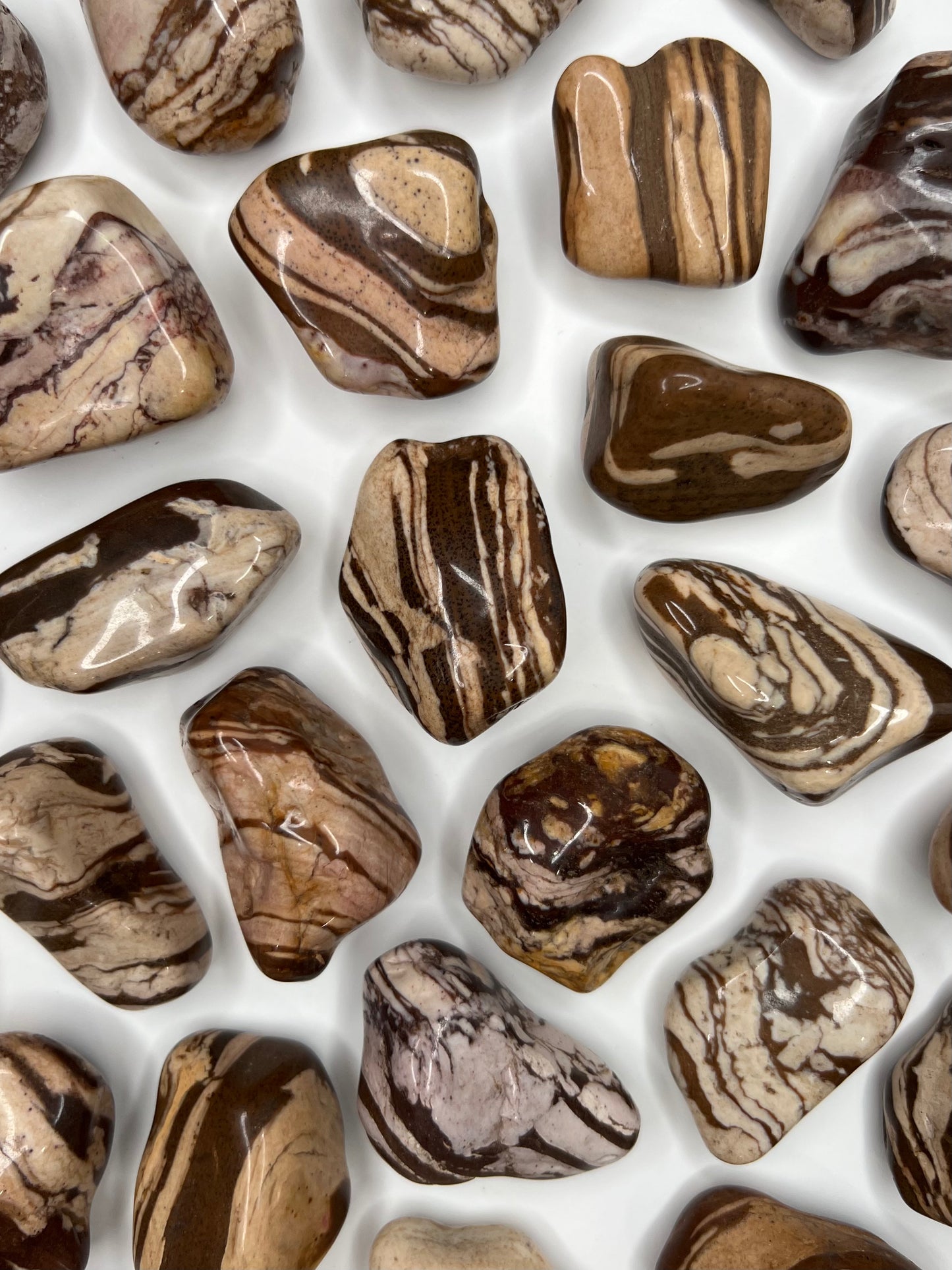 Jasper // Zebra // Large // Tumbled - SolRising The Rock Shop