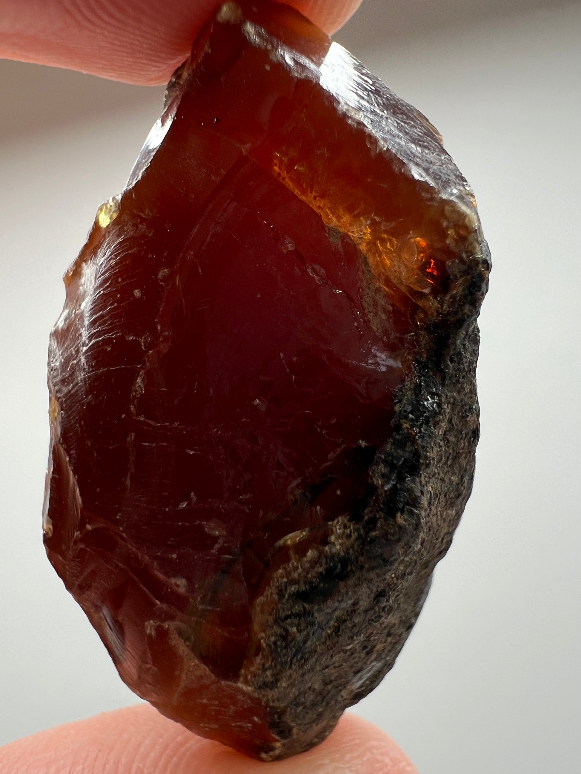 Amber // Cherry // Fossilized // Tree Resin - SolRising The Rock Shop