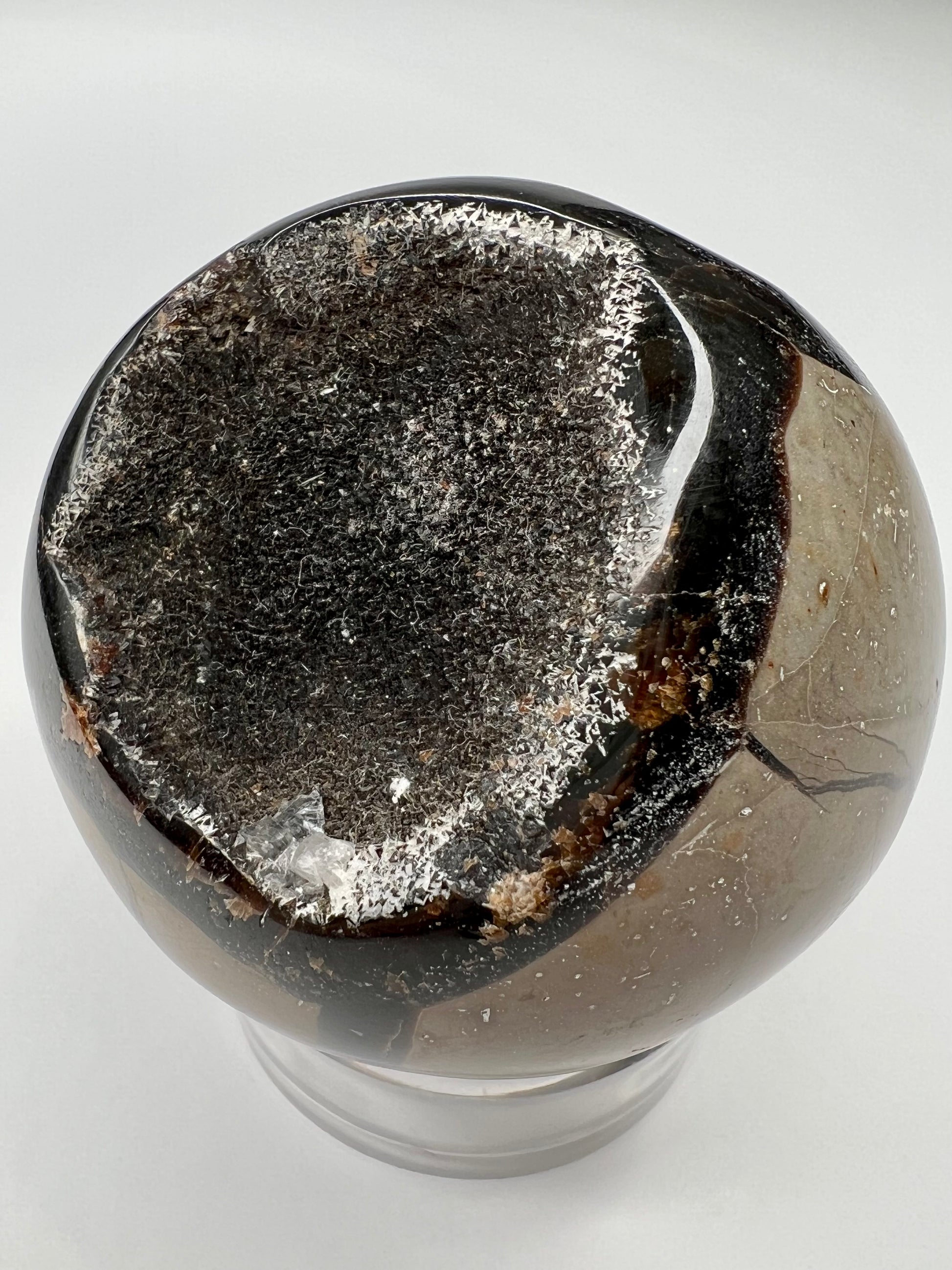 Septarian // Dragon // Sphere - SolRising The Rock Shop