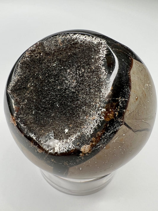 Septarian // Dragon // Sphere - SolRising The Rock Shop
