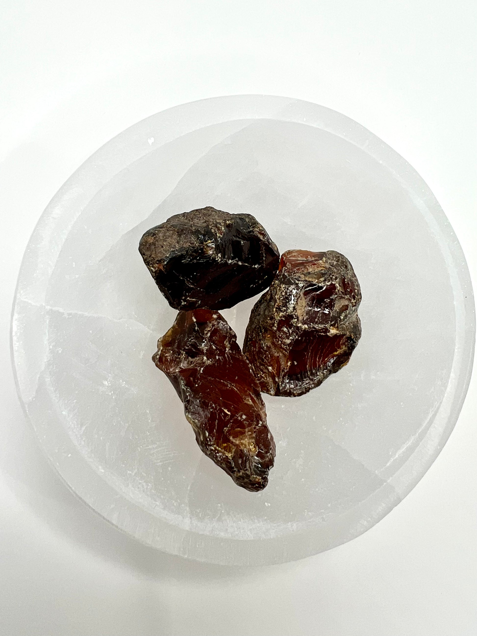 Amber // Cherry // Fossilized // Tree Resin - SolRising The Rock Shop