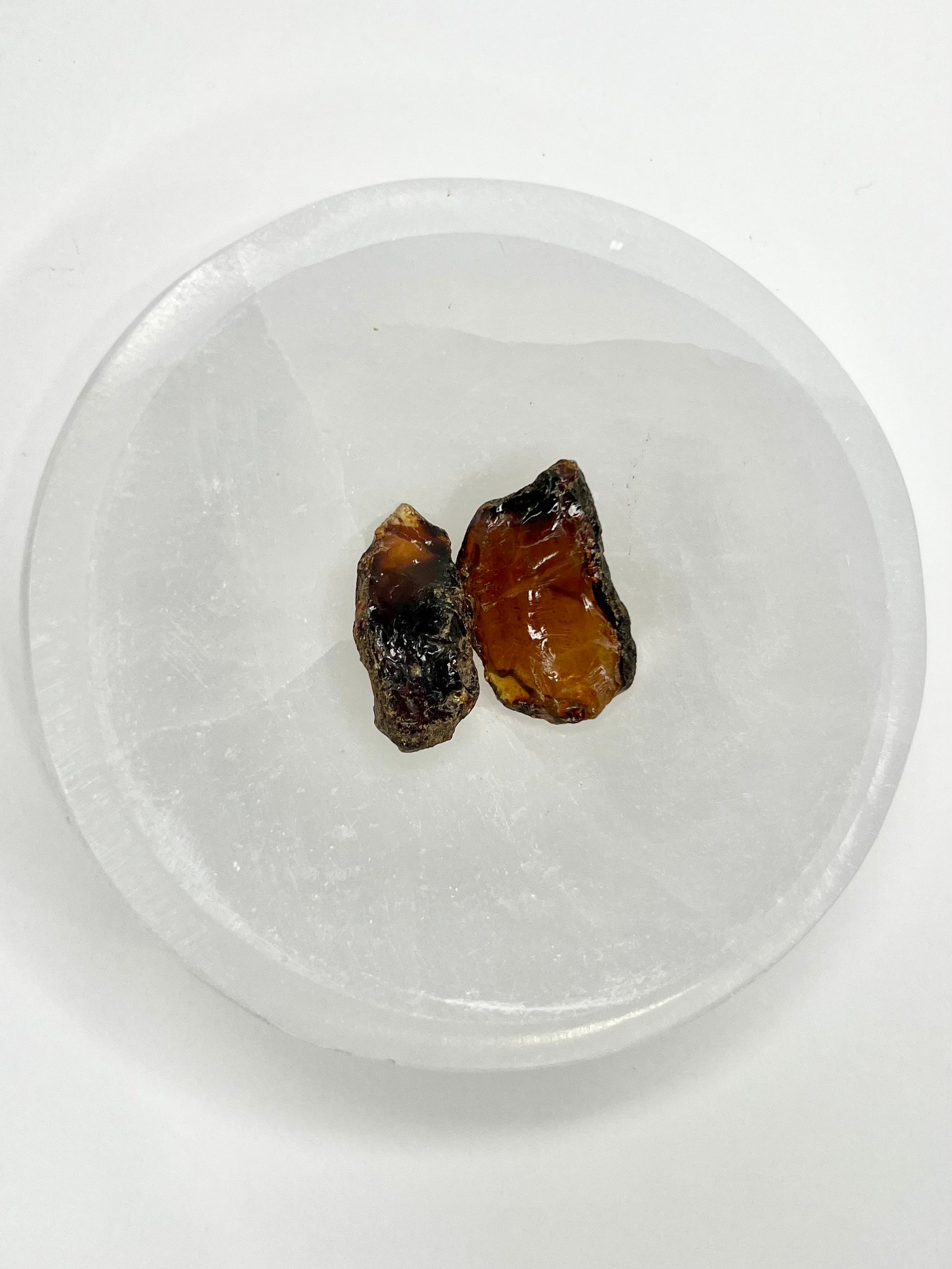 Amber // Cherry // Fossilized // Tree Resin - SolRising The Rock Shop