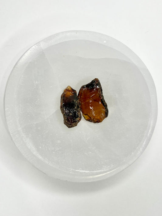 Amber // Cherry // Fossilized // Tree Resin - SolRising The Rock Shop