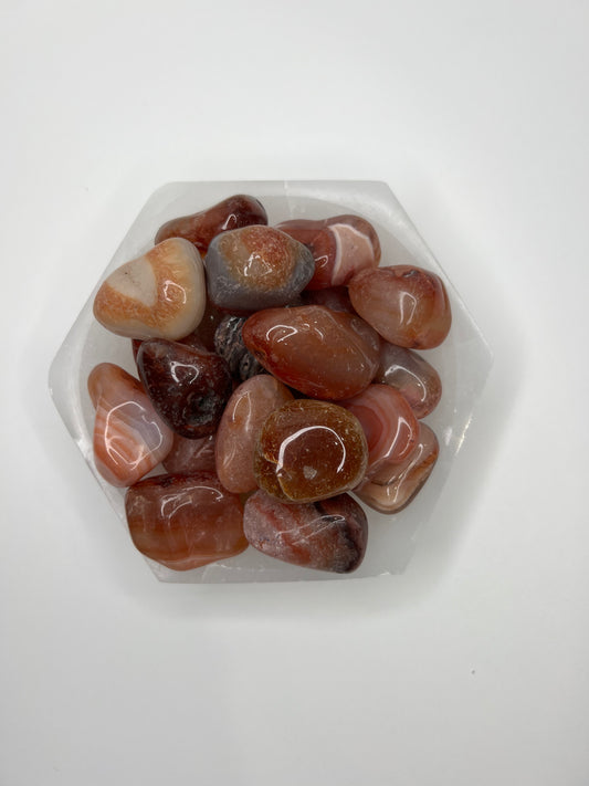 Carnelian // Large // Tumbled - SolRising The Rock Shop