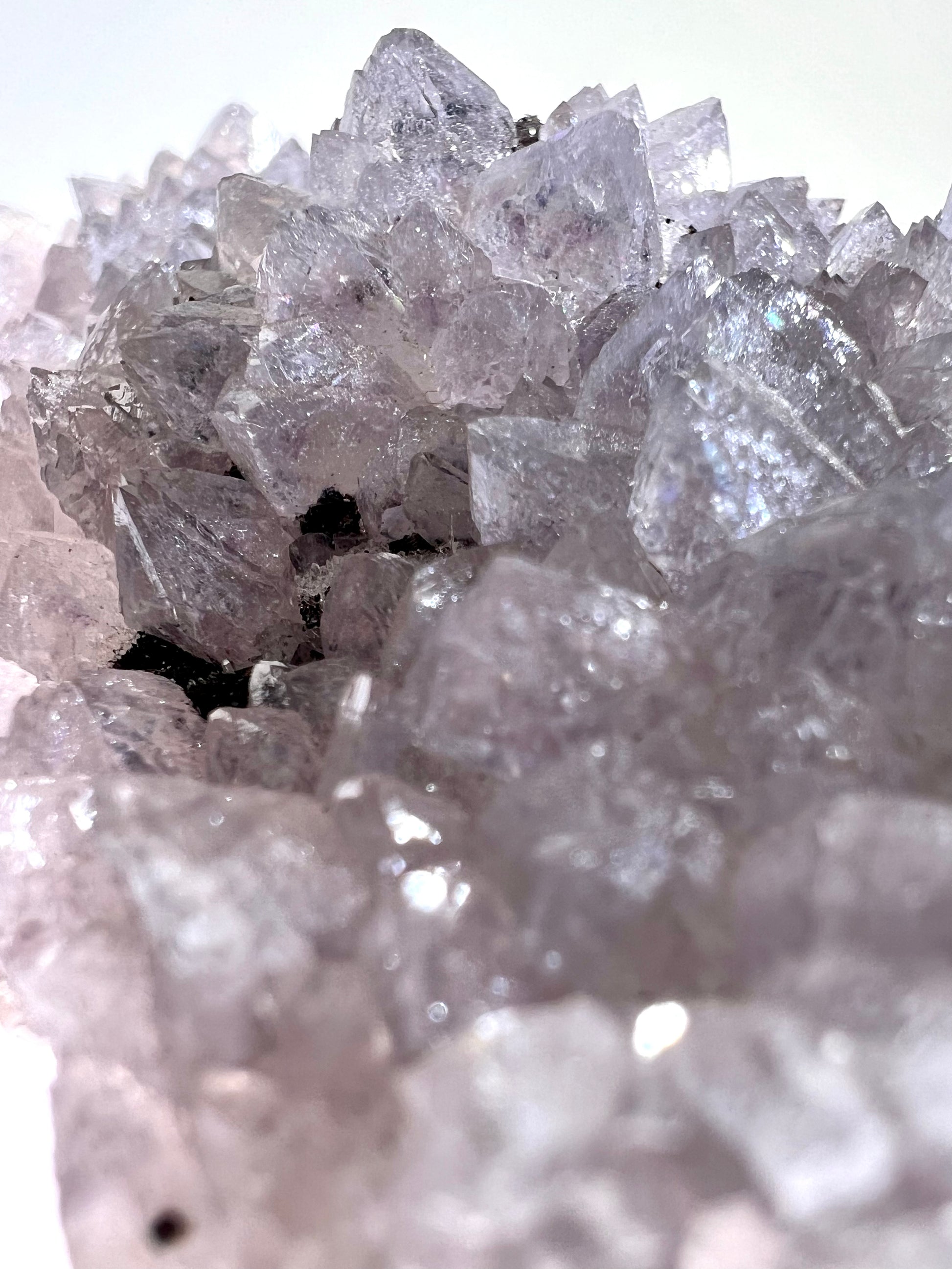 Amethyst // Cluster - SolRising The Rock Shop