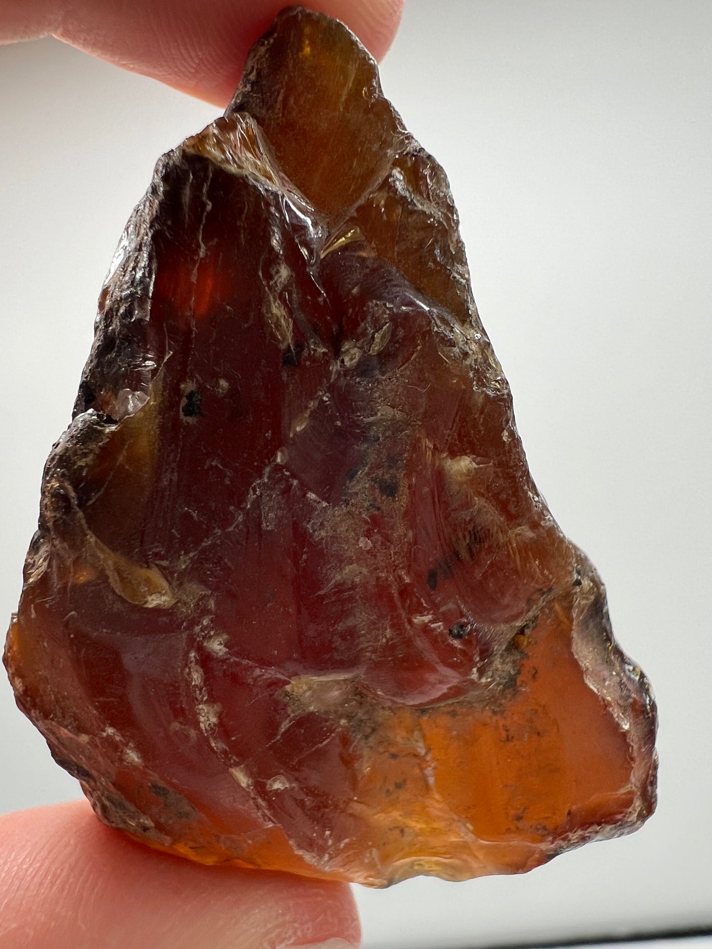 Amber // Cherry // Fossilized // Tree Resin