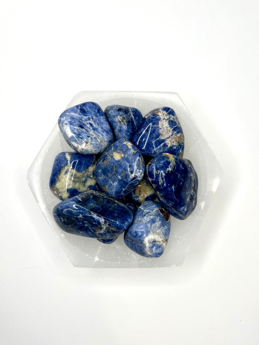 Sodalite // Tumbled - SolRising The Rock Shop